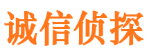 秀屿市调查公司